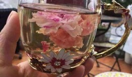 水晶玫瑰最新爆料图片,惊艳绝伦的视觉盛宴