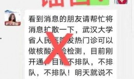 武汉核酸最新爆料消息,揭秘病毒检测背后的真相与挑战
