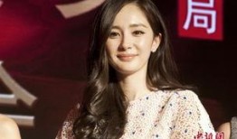 杨幂陈学冬最新爆料视频,揭秘娱乐圈不为人知的秘密